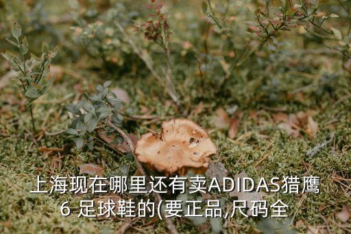 足球鞋有二手買嗎,二手足球鞋交易app