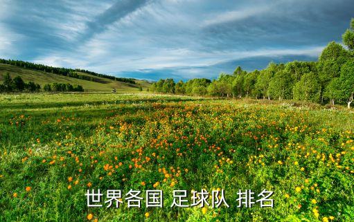  世界各國(guó) 足球隊(duì) 排名