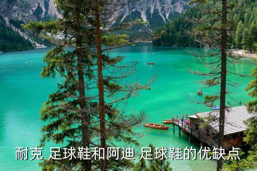 耐克 足球鞋和阿迪 足球鞋的優(yōu)缺點(diǎn)