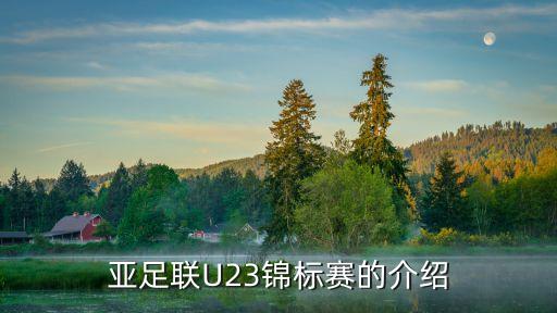 亞足聯(lián)U23錦標(biāo)賽的介紹