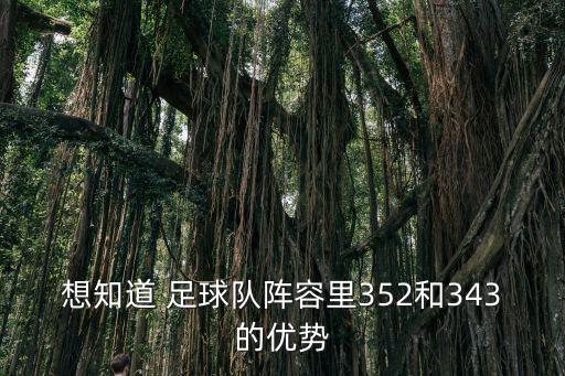 想知道 足球隊(duì)陣容里352和343的優(yōu)勢(shì)