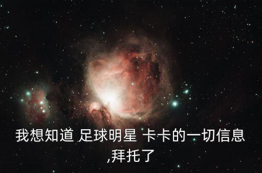 卡卡什么時候哪的世界足球先生,卡卡世界足球先生2007