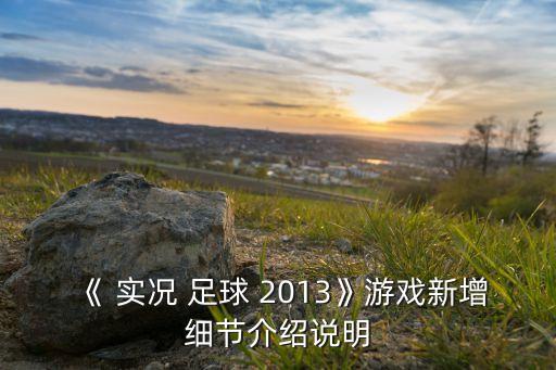 《 實(shí)況 足球 2013》游戲新增細(xì)節(jié)介紹說明