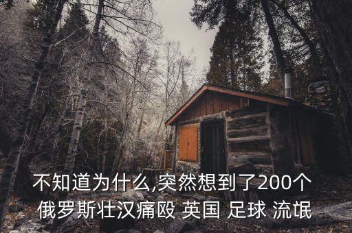 俄羅斯足球流氓打英國2016