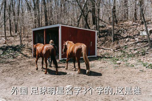 10號(hào)足球運(yùn)動(dòng)員三個(gè)字,中國(guó)男足球運(yùn)動(dòng)員三個(gè)字的