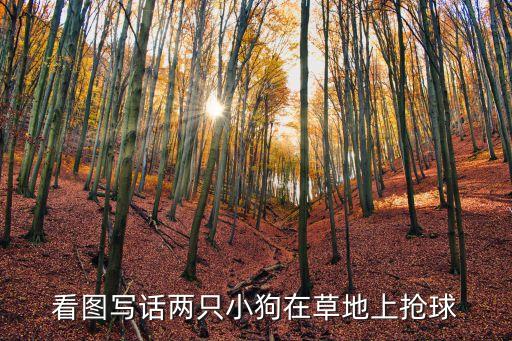 狗玩足球圖片大全圖片大全