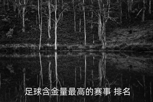  足球含金量最高的賽事 排名