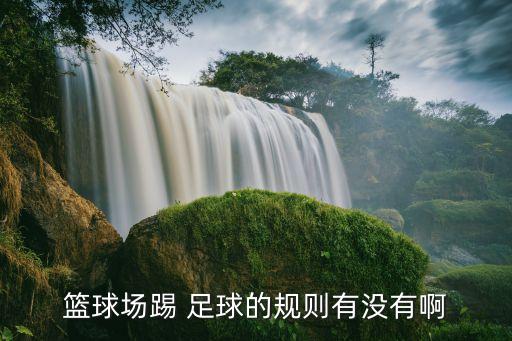 籃球場踢 足球的規(guī)則有沒有啊