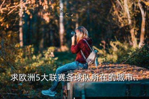 求歐洲5大聯(lián)賽各球隊(duì)所在的城市...
