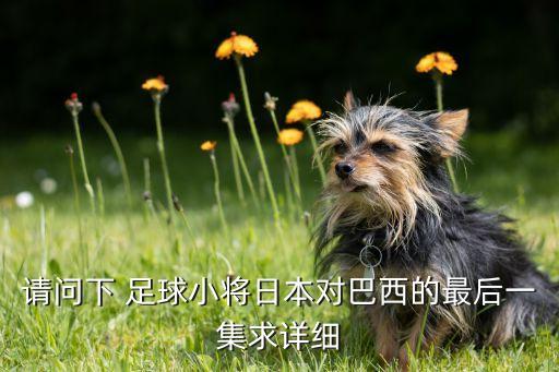 足球小子日本隊