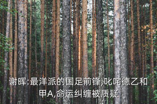 謝暉:最洋派的國足前鋒,叱咤德乙和甲A,命運(yùn)糾纏被質(zhì)疑