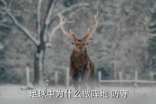  足球中為什么做陣地 防守