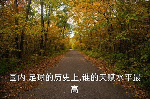 國(guó)內(nèi) 足球的歷史上,誰(shuí)的天賦水平最高