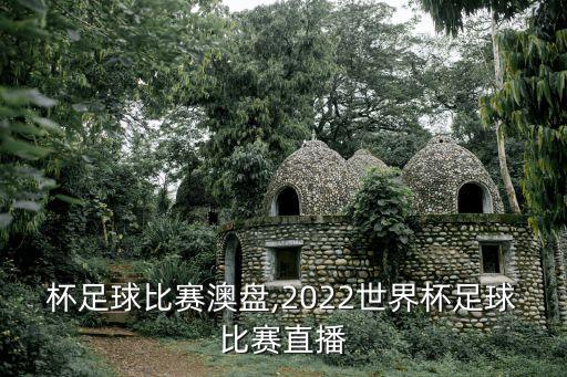 世界杯足球比賽澳盤,2022世界杯足球比賽直播