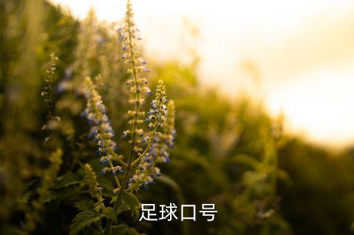 足球政治標(biāo)語(yǔ) 0比3