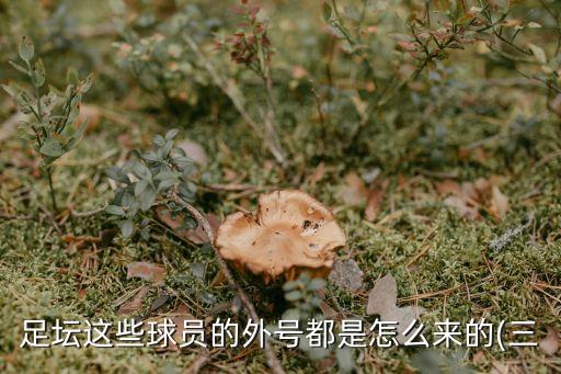 中國球迷足球綽號,中國有多少足球球迷