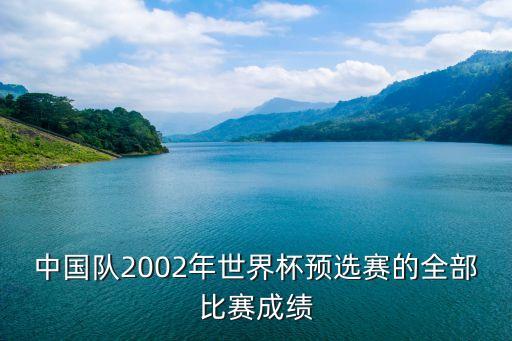 中國(guó)隊(duì)2002年世界杯預(yù)選賽的全部比賽成績(jī)