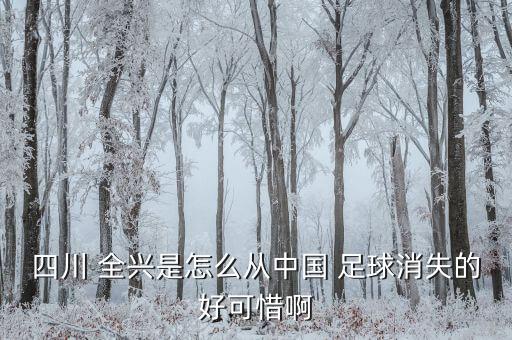 成都全興足球,全興足球酒價格表