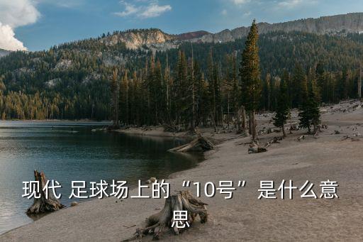 現(xiàn)代 足球場上的“10號”是什么意思