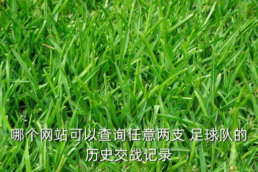 哪個(gè)網(wǎng)站可以查詢?nèi)我鈨芍?足球隊(duì)的歷史交戰(zhàn)記錄