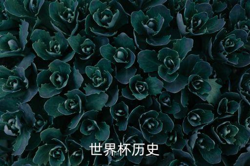 世界杯歷史