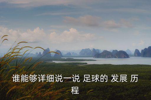 誰能夠詳細(xì)說一說 足球的 發(fā)展 歷程