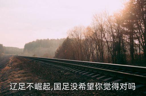 天津左樹生足球隊(duì)
