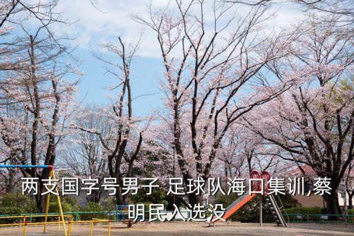 兩支國字號男子 足球隊?？诩?xùn),蔡明民入選沒