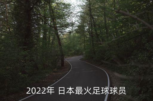 2022年 日本最火足球球員