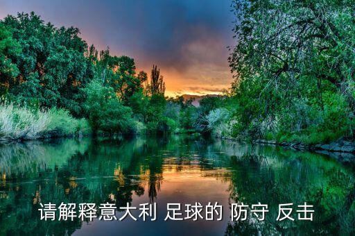 請解釋意大利 足球的 防守 反擊