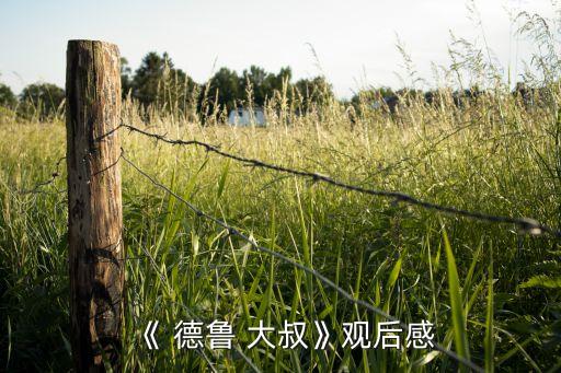 《 德魯 大叔》觀后感