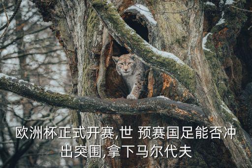 歐洲杯正式開賽,世 預賽國足能否沖出突圍,拿下馬爾代夫