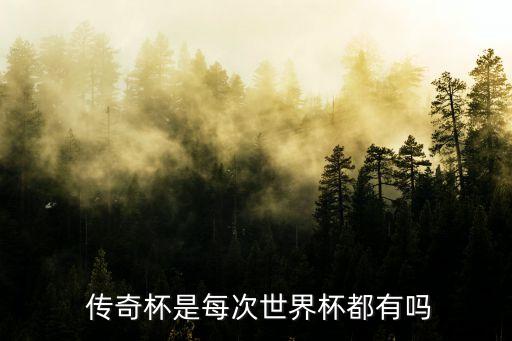  傳奇杯是每次世界杯都有嗎