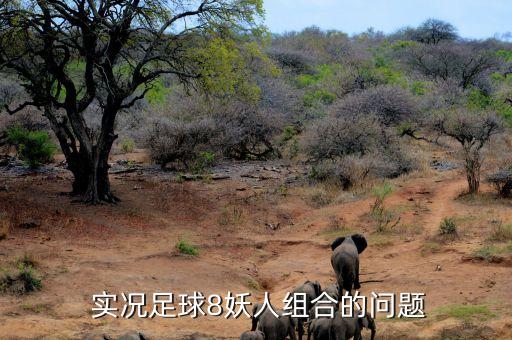  實(shí)況足球8妖人組合的問題