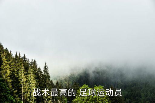 戰(zhàn)術(shù)最高的 足球運動員