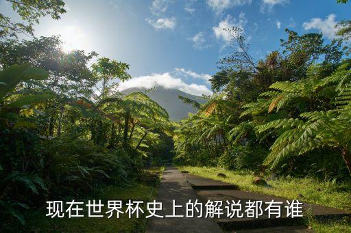 知名足球解說員,cctv5足球解說員