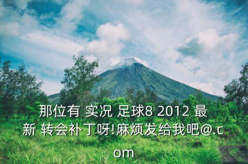 那位有 實(shí)況 足球8 2012 最新 轉(zhuǎn)會(huì)補(bǔ)丁呀!麻煩發(fā)給我吧@.com