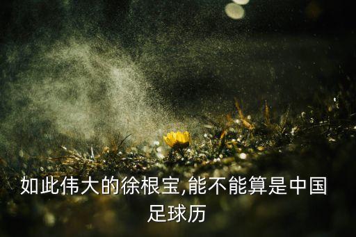 萬(wàn)達(dá)足球吧,98年萬(wàn)達(dá)為什么退出足球