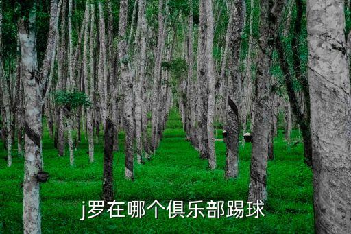 圖爾足球隊羅德里格斯