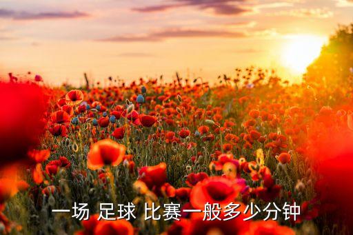 沙灘足球的比賽要求,女子沙灘足球比賽