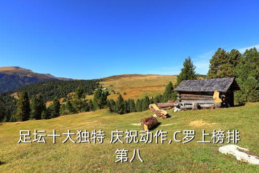 足壇十大獨(dú)特 慶祝動(dòng)作,C羅上榜排第八