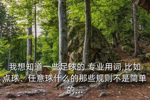 我想知道一些足球的 專業(yè)用詞,比如點(diǎn)球、任意球什么的那些規(guī)則不是簡單的...