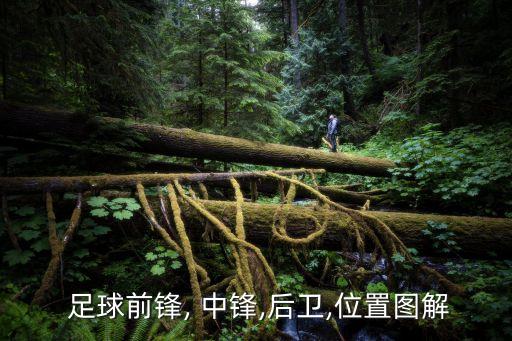 中鋒技巧足球,足球中鋒的位置和打法