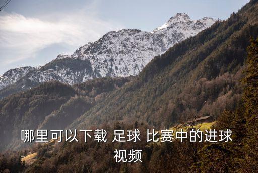 足球比賽視頻大全完整,世界杯足球比賽視頻大全