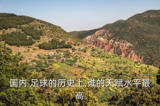 國內(nèi) 足球的歷史上,誰的天賦水平最高