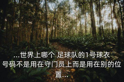 ...世界上哪個 足球隊的1號球衣號碼不是用在守門員上而是用在別的位置...