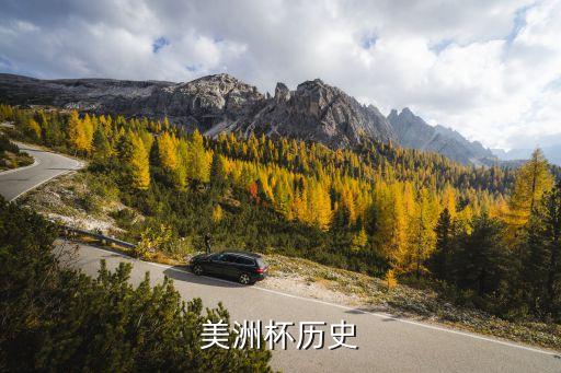 美洲杯歷史