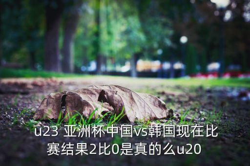  u23 亞洲杯中國vs韓國現(xiàn)在比賽結(jié)果2比0是真的么u20