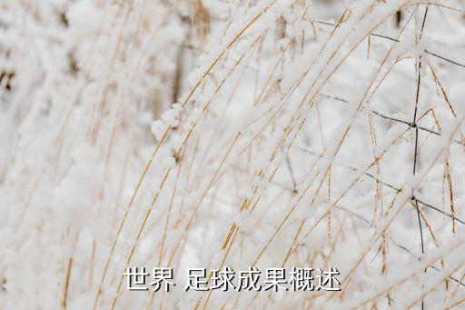 世界 足球成果概述