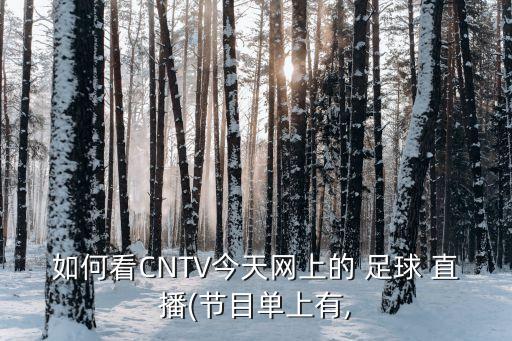 如何看CNTV今天網(wǎng)上的 足球 直播(節目單上有,